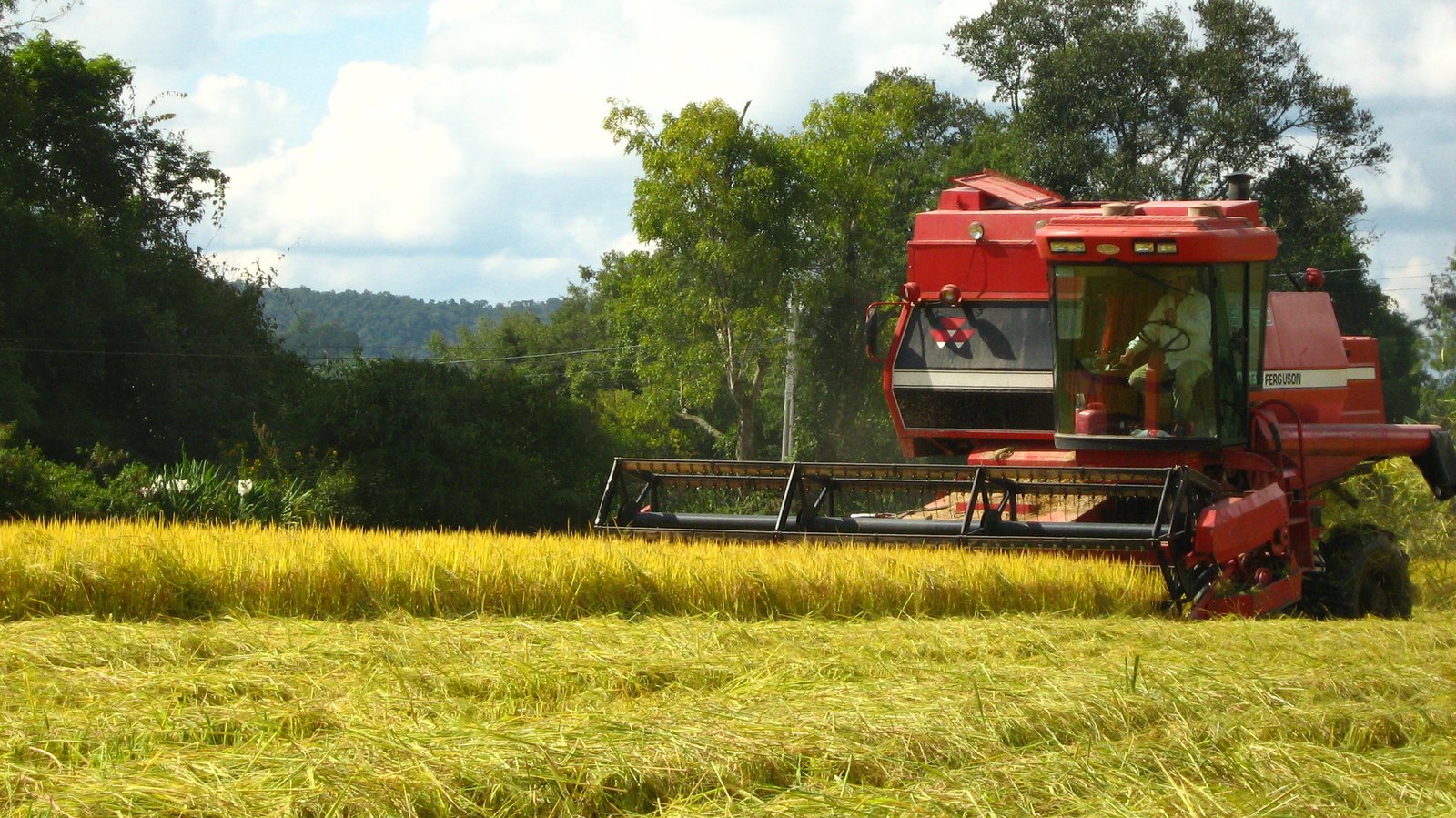 Prazo para apresentação de proposta voluntária ao Programa do Ministério da Agricultura e Pecuária até o dia 31/12