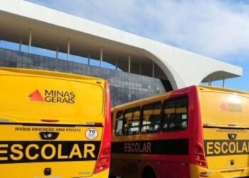 Municípios têm até o dia 30 de novembro para envio das informações no formulário de transporte