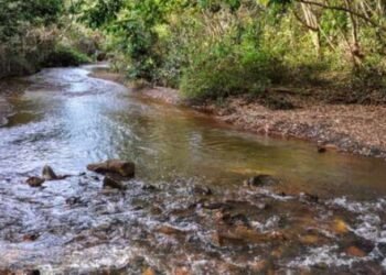 Inscrição para processo eleitoral dos Comitês de Bacias em MG é prorrogada