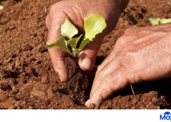 Atenção: a opção pelo Domicílio Tributário Eletrônico é requisito para os municípios formalizem o convênio de fiscalização e cobrança do ITR