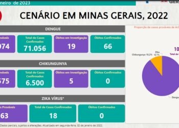 Boletim Epidemiológico de Monitoramento dos casos de Dengue, Chikungunya e Zika registra 76.831 casos em Minas Gerais