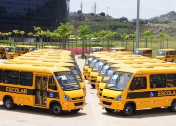 Transporte Escolar: 74 municípios ainda não preencheram formulário que deve ser enviado até dia 6 de janeiro