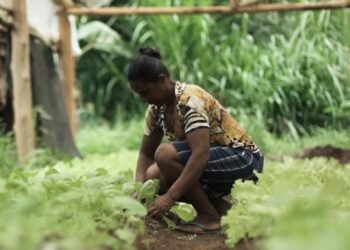 Produtores rurais terão mais prazo para emitir o Cadastro da Agricultura Familiar