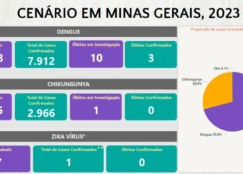 Boletim Epidemiológico de Monitoramento registra 10.879 casos confirmados de Dengue, Chikungunya e Zika em Minas Gerais
