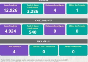 Boletim Epidemiológico de Monitoramento registra 3.826 casos confirmados de Dengue, Chikungunya e Zika em Minas Gerais