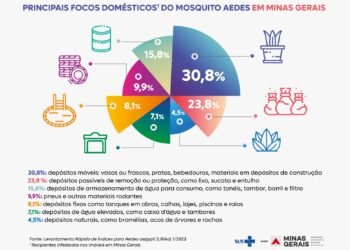 Pesquisa revela nível de infestação do Aedes aegypti em Minas
