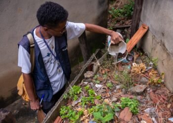 Pesquisa revela nível de infestação do Aedes aegypti em Minas