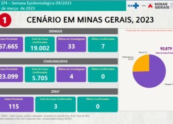 Boletim Epidemiológico de Monitoramento registra 24.707 casos confirmados de Dengue, Chikungunya e Zika em Minas Gerais