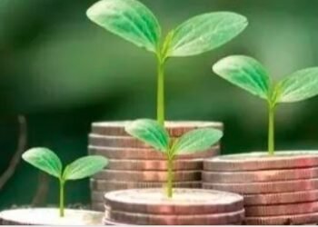 Conheça o banco de Iniciativas de Pagamentos por Serviços Ambientais em Minas Gerais