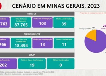 Boletim Epidemiológico de Monitoramento registra 106.278 casos confirmados de Dengue, Chikungunya e Zika em Minas Gerais
