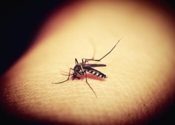 Boletim Epidemiológico de Monitoramento registra 57.524 casos confirmados  de Dengue, Chikungunya e Zika em Minas Gerais – Associação Mineira de  Municípios