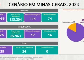 Boletim Epidemiológico de Monitoramento registra 159.191 casos confirmados de Dengue, Chikungunya e Zika em Minas Gerais