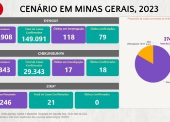 Boletim Epidemiológico de Monitoramento registra 178.455 casos confirmados de Dengue, Chikungunya e Zika em Minas Gerais