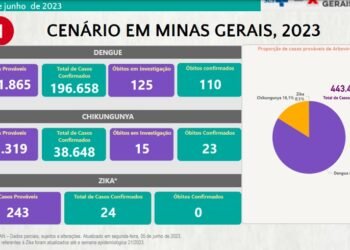 Boletim Epidemiológico de Monitoramento registra 235.330 casos confirmados de Dengue, Chikungunya e Zika em Minas Gerais