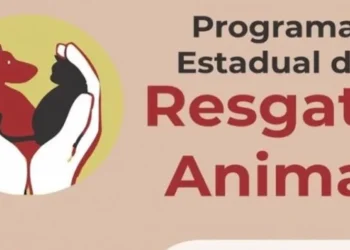 Divulgada lista de municípios selecionados em edital do Programa Estadual de Regaste de Animais Domésticos