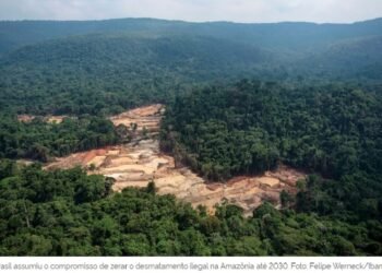 Municípios são autorizados a apresentar projetos ao Fundo Amazônia