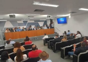 Em audiência na ALMG, presidente da AMM defende orçamento enxuto contra queda de receitas