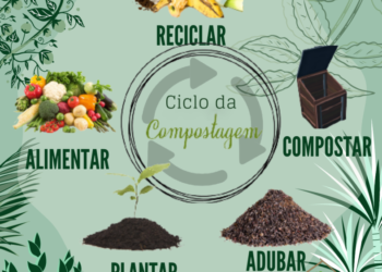Chamamento público: municípios e consórcios podem apresentar projetos de compostagem