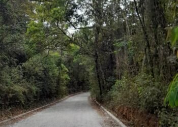 ICMS Ecológico chega a mais da metade dos municípios mineiros