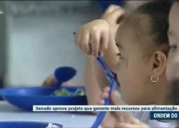 Aprovado projeto que reforça atuação dos Conselhos de Alimentação Escolar
