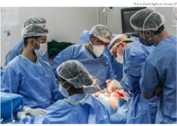 Governo Federal sanciona lei que institui nova política nacional de transplantes