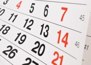 Gestores podem preencher do Demonstrativo Sintético do Suas de 2022 até 31 de janeiro