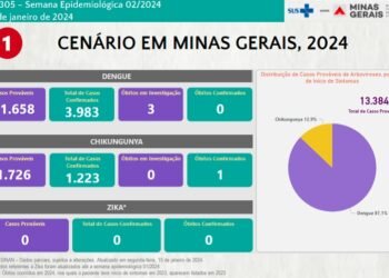 Boletim Epidemiológico de Monitoramento registra 5.206 casos de Dengue e Chikungunya no Estado