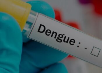 Webinário da SES-MG apresenta cenário e perspectivas das arboviroses para 2024