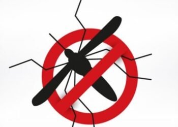 Ministério da Saúde anuncia Dia D nacional para combater a dengue; mobilização acontece neste sábado (2)