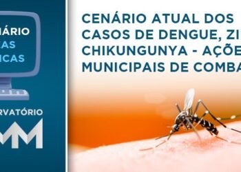 Webinário da AMM apresenta o cenário atual dos casos de Dengue, Zika e Chikungunya e ações municipais de combate