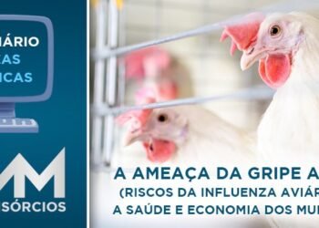 Ameaça da Gripe Aviária será tema do Webinário áreas técnicas desta sexta-feira (22)