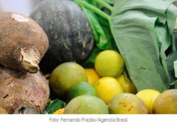 Saúde reforça importância de ações voltadas à garantia do direito à alimentação adequada