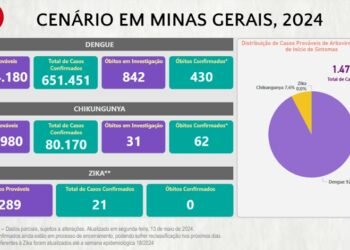 Atenção: último Boletim Epidemiológico de Monitoramento registra 731.642 casos de Dengue, Chikungunya e Zika no Estado