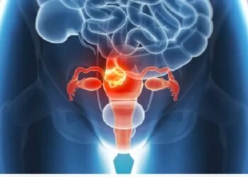 INCA alerta gestores para mudança nas diretrizes do rastreamento do câncer do colo do útero