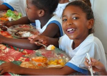 Portaria estabelece a categorização de despesas do Programa Nacional de Alimentação Escolar