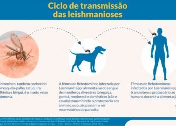 Saúde lança painéis para monitorar Leishmanioses no Brasil