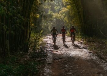 Plano Diretor do Turismo Verde: conheça a iniciativa do Governo de Minas para desenvolver o turismo sustentável no Estado