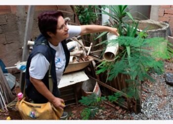 Secretaria de Saúde promove Dia D de combate às arboviroses neste sábado