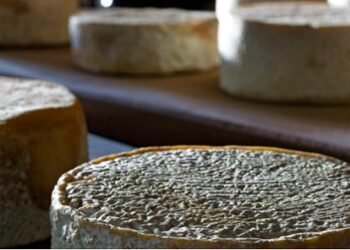 Rotas do Queijo da Canastra e do Serro são lançadas durante Festuris