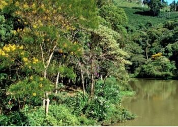 Gestores devem observar prazos para as conferências municipais e intermunicipais