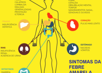 SES-MG divulgou material com orientações aos profissionais e serviços de saúde diante da ocorrência de caso humano de febre amarela