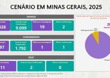 Boletim Epidemiológico de Monitoramento registra 10.893 casos confirmados de Dengue, Chikungunya e Zika em Minas Gerais