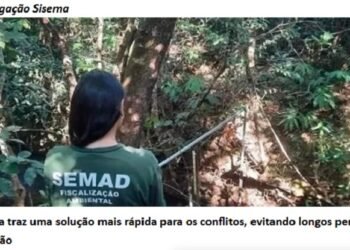 Programa de conversão de multas vai agilizar retorno de recursos aos cofres públicos para investimentos em ações e projetos ambientais