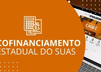 Evento virtual da Sedese debate Cofinanciamento Estadual do SUAS