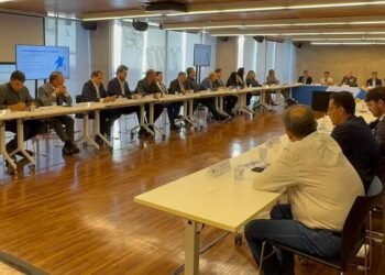 Presidente da AMM participa de reunião do Conselho Político da CNM para definir pautas prioritárias da Marcha