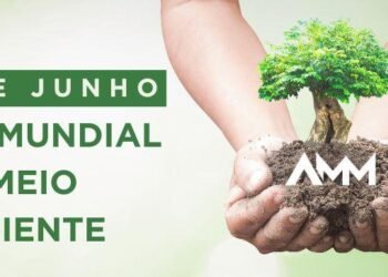 No Dia Mundial do Meio Ambiente, AMM destaca o vencedor e os finalistas do Prêmio AMM de Boas Práticas na Gestão Municipal