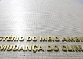 Ministério do Meio Ambiente abre consulta pública sobre decreto da Política Nacional de Pagamento por Serviços Ambientais 