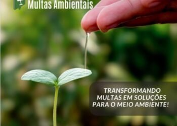 Multas com o meio ambiente: municípios têm até dia 10 de julho para descontos e conversões