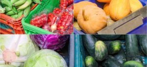 modernização de bancos de alimentos