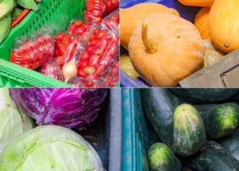 modernização de bancos de alimentos